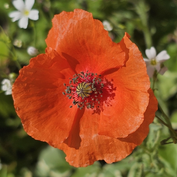 Womens and kids, clothing and shoes - Picture 1 of 1